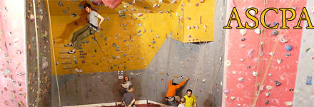 Le mur de l'ASCPA