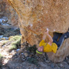 La tortuga 7C bloc � Las Canadas, Teide