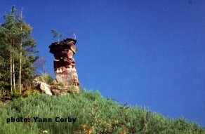 les Vosges du Nord